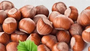 فواید باورنکردنی و معجزه آسای فندوق