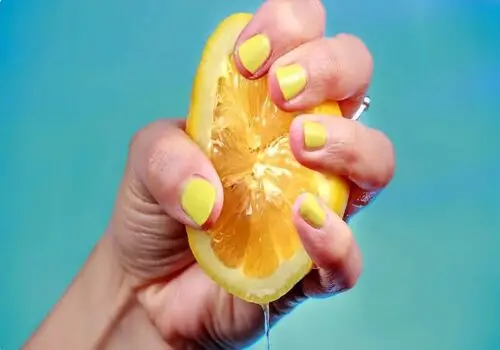  چگونه از کپک زدگی مواد خشک جلوگیری کنیم؟