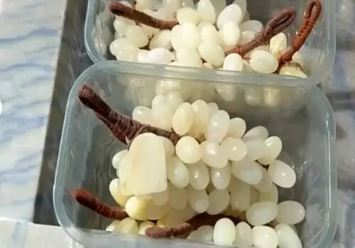 استایل متفاوت شبنم قلی‌خانی در ۴۸ سالگی+ عکس