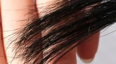راهکار جلوگیری از دوشاخه شدن مو