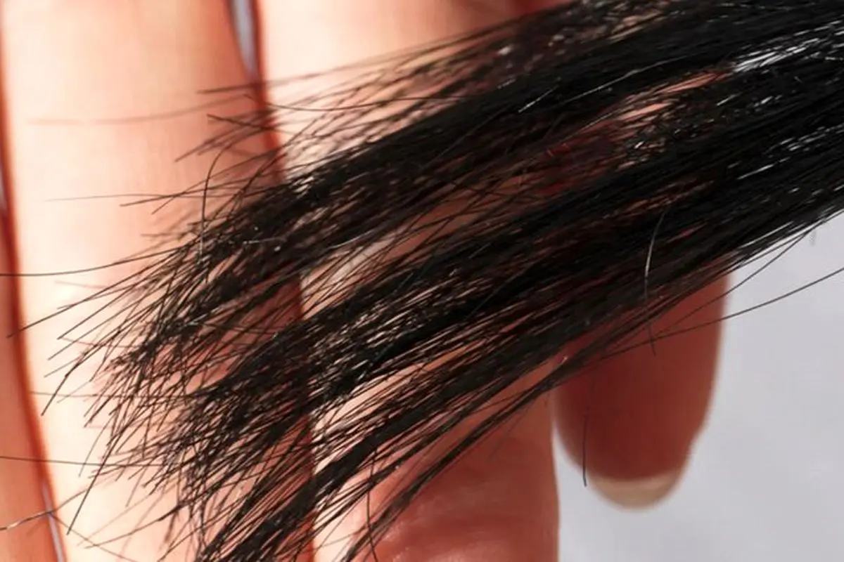 راهکار جلوگیری از دوشاخه شدن مو