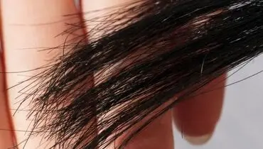 راهکار جلوگیری از دوشاخه شدن مو