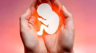 نقش باورنکردنی متابولیسم در سقط جنین‌های مکرر