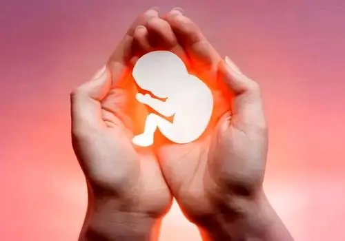 زعفران در سقط جنین چه تاثیری دارد؟