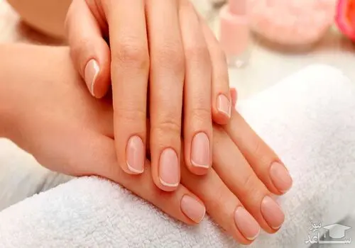 ترند ناخن ۲۰۲۵: وقتی لاک تبدیل به اکسسوری لوکس می‌شود+تصویر