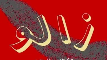 اکران خصوصی فیلم «زالو» با حضور چهره‌های مطرح سینما؛ اثری جسور با روایتی تازه از وسوسه و انتقام

