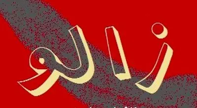 اکران خصوصی فیلم «زالو» با حضور چهرههای مطرح سینما؛ اثری جسور با روایتی تازه از وسوسه و انتقام