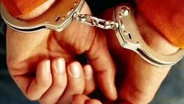 پلیس: سرشبکه سلطنت‌طلب مرتبط با خارج از کشور دستگیر شد