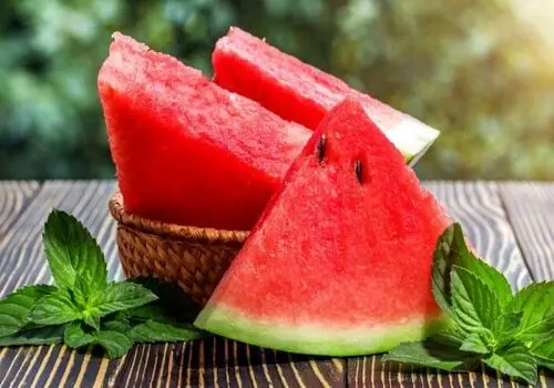 روش خلاقانه کاشت هندوانه در خانه را ببینید + فیلم