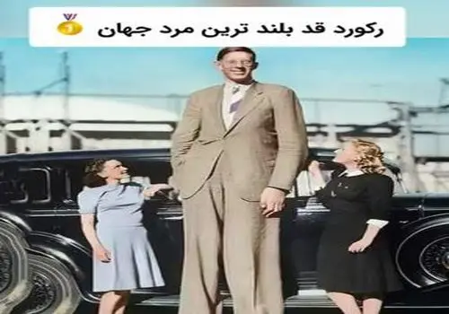 غول مهربان تاریخ؛ زندگی کوتاه اما ماندگار رابرت وادلو + ویدیو