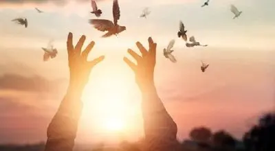 رهایی قدیمی‌ترین محکوم به قصاص هرمزگان پس از ۲۰ سال 