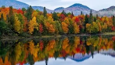 این نمای پاییزی جاده چالوس هوش از سرتان می برد+ فیلم