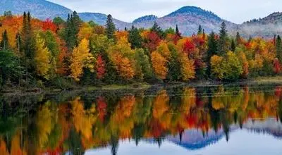 این نمای پاییزی جاده چالوس هوش از سرتان می برد+ فیلم