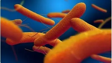 تهدید باستانی دوباره زنده شد؛ حصبه در حال گسترش جهانی

