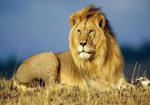 هر رده سنی روزانه چقدر باید شیر مصرف کند؟

