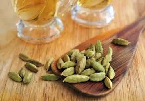  ساندویچ بلغاری تنوری در منزل
