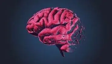 اوج هوش افراد در چه سنی است؟
