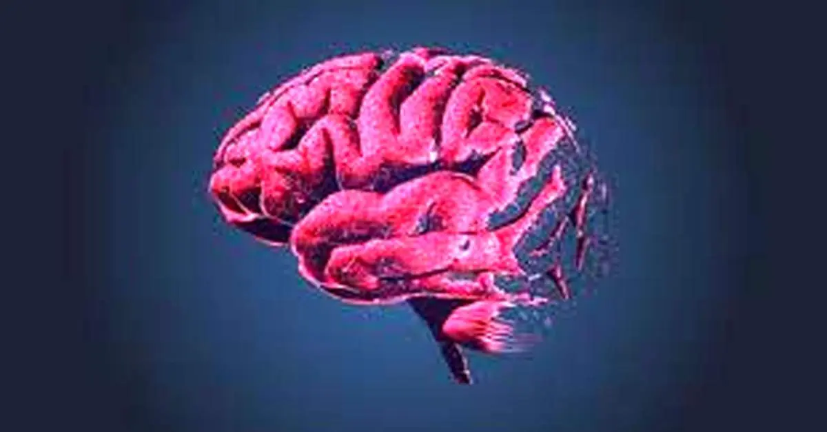 اوج هوش افراد در چه سنی است؟
