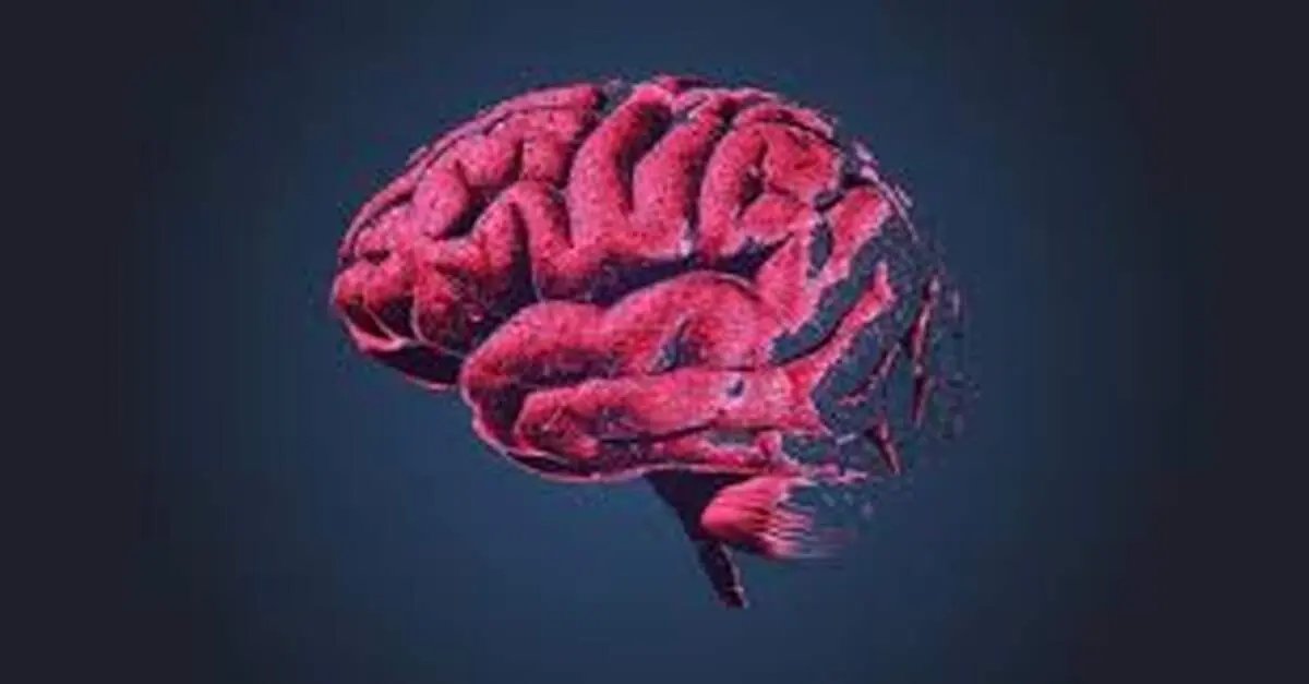 اوج هوش افراد در چه سنی است؟
