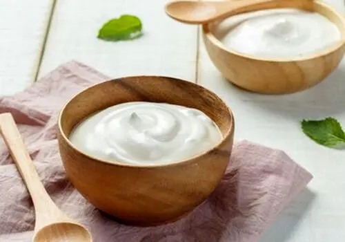 تاثیر عجیب ماست بر سرطان روده 