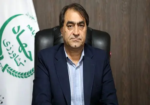 چگونه تخم مرغ را بپزیم که خاصیت بیشتری داشته باشد + جزییات