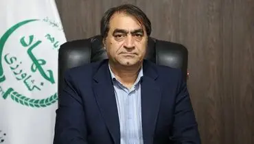 تکذیب شایعات درباره بازار مرغ و تخم مرغ