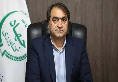 قیمت جدید تخم مرغ اعلام شد / مردم گران نخرند! 