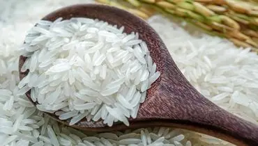 برنج سورت شده چیست؟
