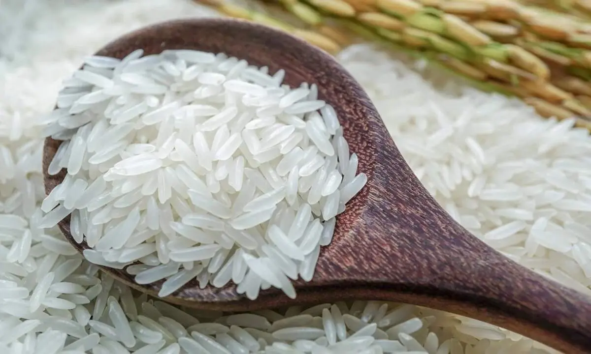 برنج سورت شده چیست؟
