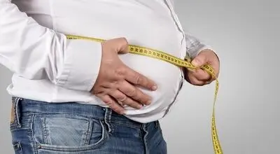 چربی شکم چگونه روند پیری مغز را تسریع می‌کند؟