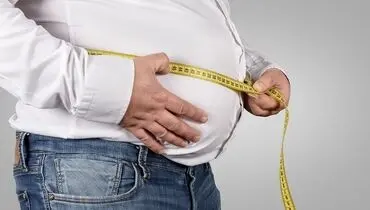 چربی شکم چگونه روند پیری مغز را تسریع می‌کند؟