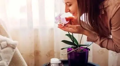 چگونه به روش طبیعی خوش‌بو بمانیم؟ / ۱۱ توصیه کلیدی