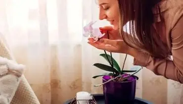 چگونه به روش طبیعی خوش‌بو بمانیم؟ / ۱۱ توصیه کلیدی