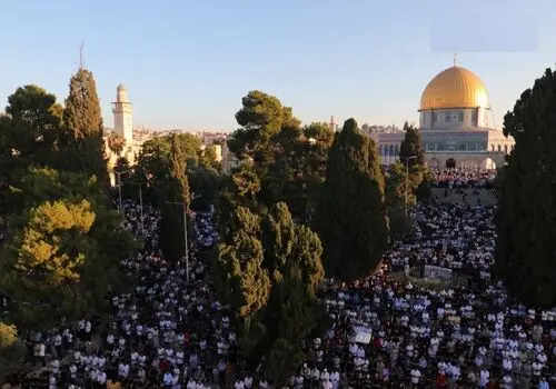 دو عکس عجیب از زاکانی در نماز عید فطر  خبرساز شد!