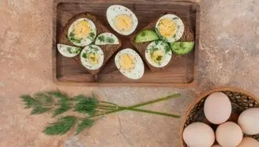 کودک شما چند عدد تخم مرغ می تواند در روز بخورد ؟
