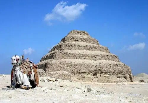 نظریه عجیب درباره بالا رفتن سگ ها از اهرام مصر + فیلم

