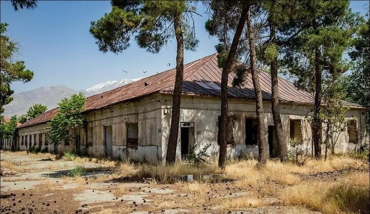 ماجرای درخت‌کشی در محدوه یکی از پادگان‌های تهران