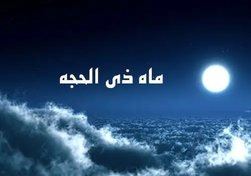 ۳ روز تا عقد اخوت میان برادران دینی باقی است+ فیلم