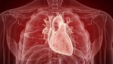 چرا سکته‌های قلبی در گرما بیشتر می‌شود ؟