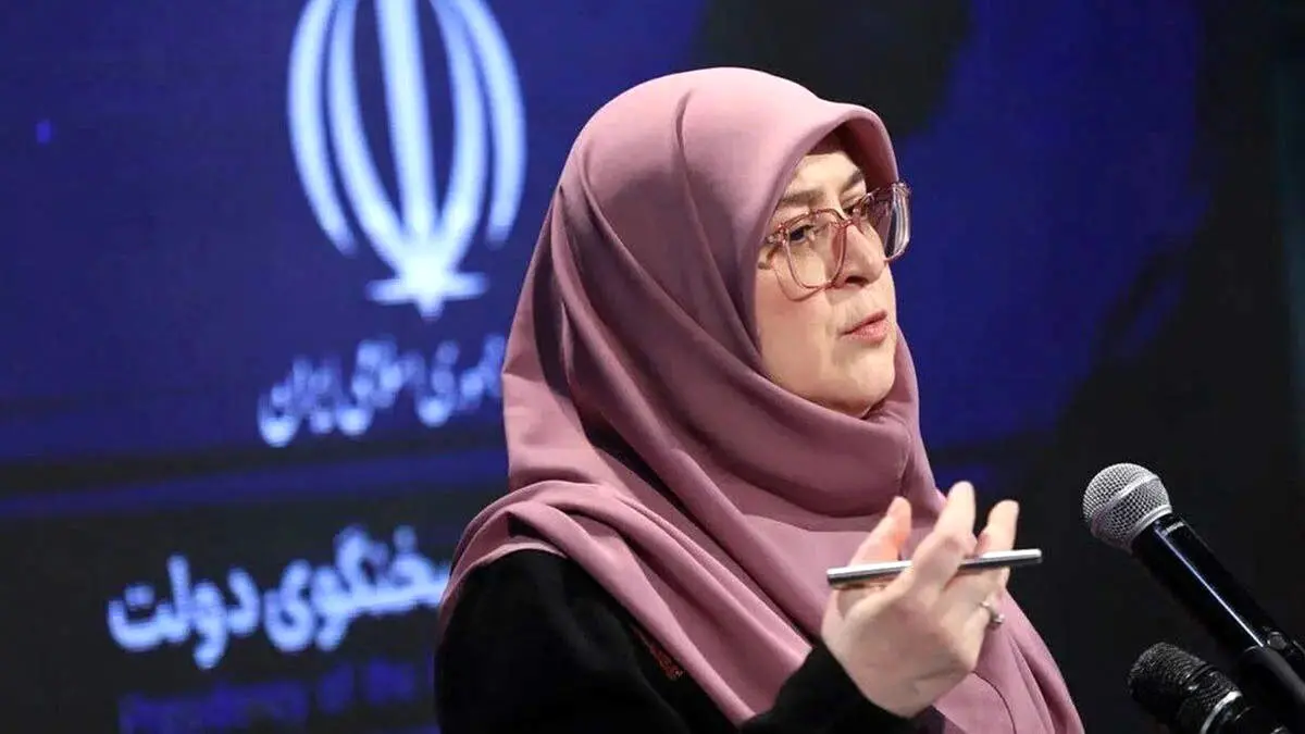مهاجرانی: ایران همچنان نسبت به نیات واقعی دولت آمریکا محتاط است