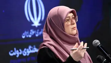 مهاجرانی: ایران همچنان نسبت به نیات واقعی دولت آمریکا محتاط است