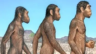 کشف جدید؛ انسان امروزی تنها گونه باقی مانده بین 21 نوع انسان است!