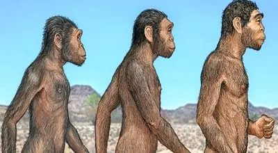 کشف جدید؛ انسان امروزی تنها گونه باقی مانده بین 21 نوع انسان است!