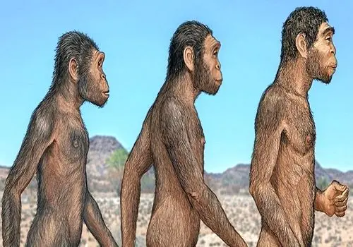 کشف جدید؛ انسان امروزی تنها گونه باقی مانده بین 21 نوع انسان است!