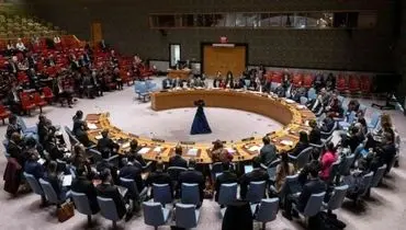 نشست شورای امنیت درباره حملات آمریکا به سوریه و عراق 