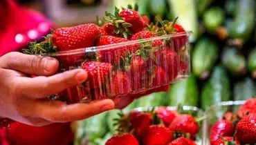این میوه داروی درمان کبد چرب و دیابت است