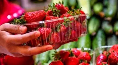 این میوه داروی درمان کبد چرب و دیابت است