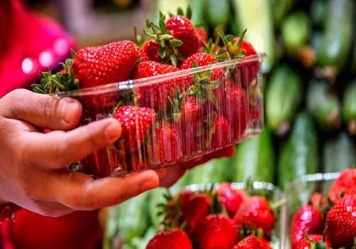 این میوه داروی درمان کبد چرب و دیابت است