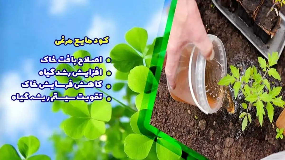 آیا کود شیمیایی سرطان زاست؟ بهترین جایگزین چیست؟