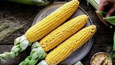  چگونه ذرت را با زودپز بپزیم؟ 